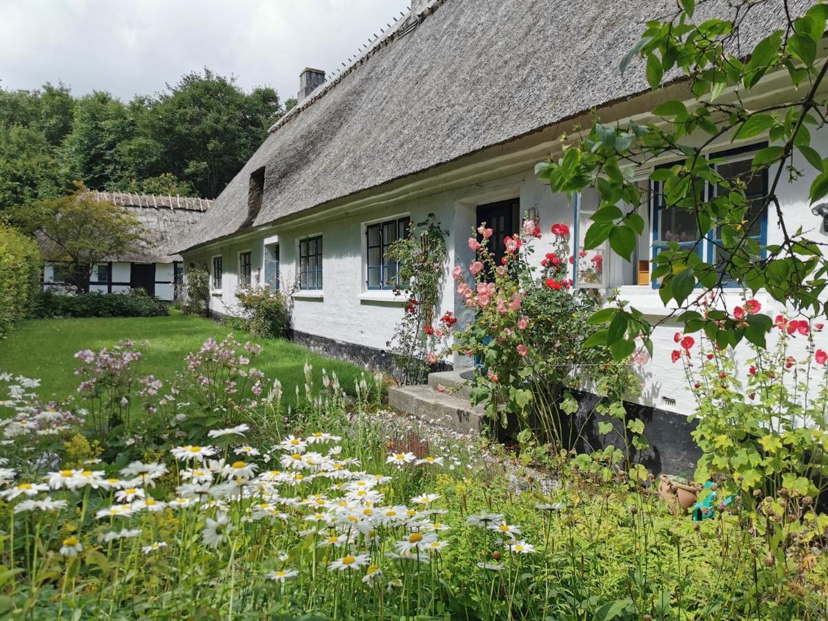 Plantepressen B&B Fåborg Dış mekan fotoğraf
